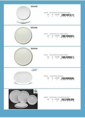 PORCELLANA E CERAMICA - PIATTI SERVIRE 第 8 页