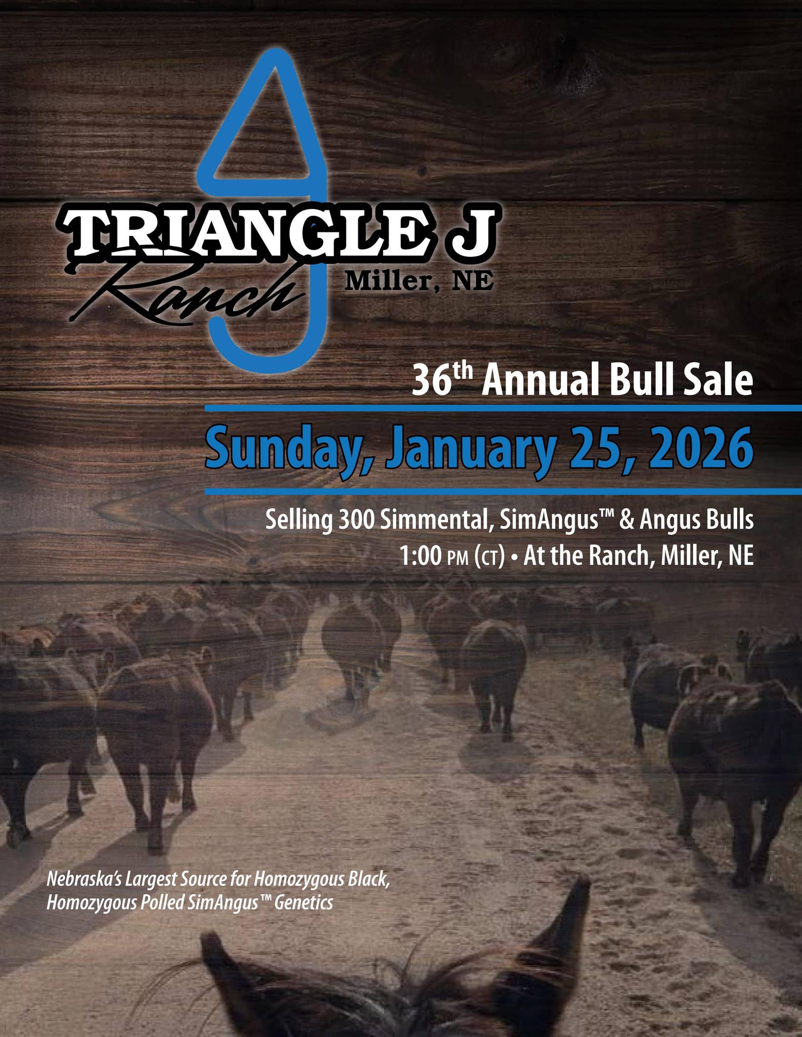 2026 Triangle J Ranch Bull Sale by Julie Murnin - Issuu