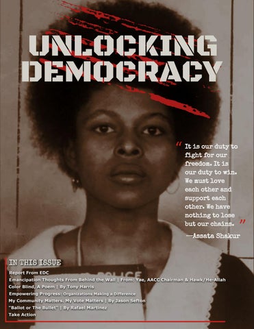 Unlocking Democracy| Issue 2 