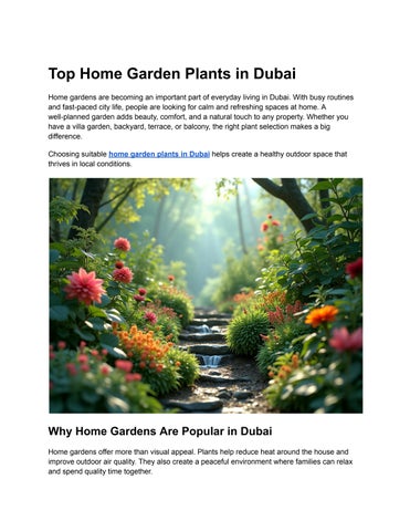 Home Garden Plants in Dubai