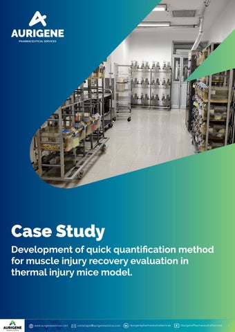 Development of Quick Quantification Method for Muscle Injury Recovery Evaluation in a Thermal Injury