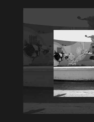 Portafolio fotografico 2026 第 4 页