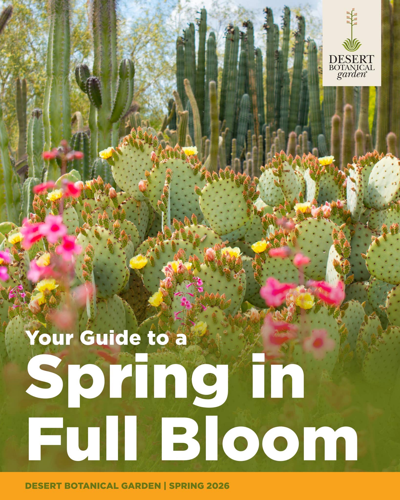 Spring Mailer 2026 by dbgphx - Issuu