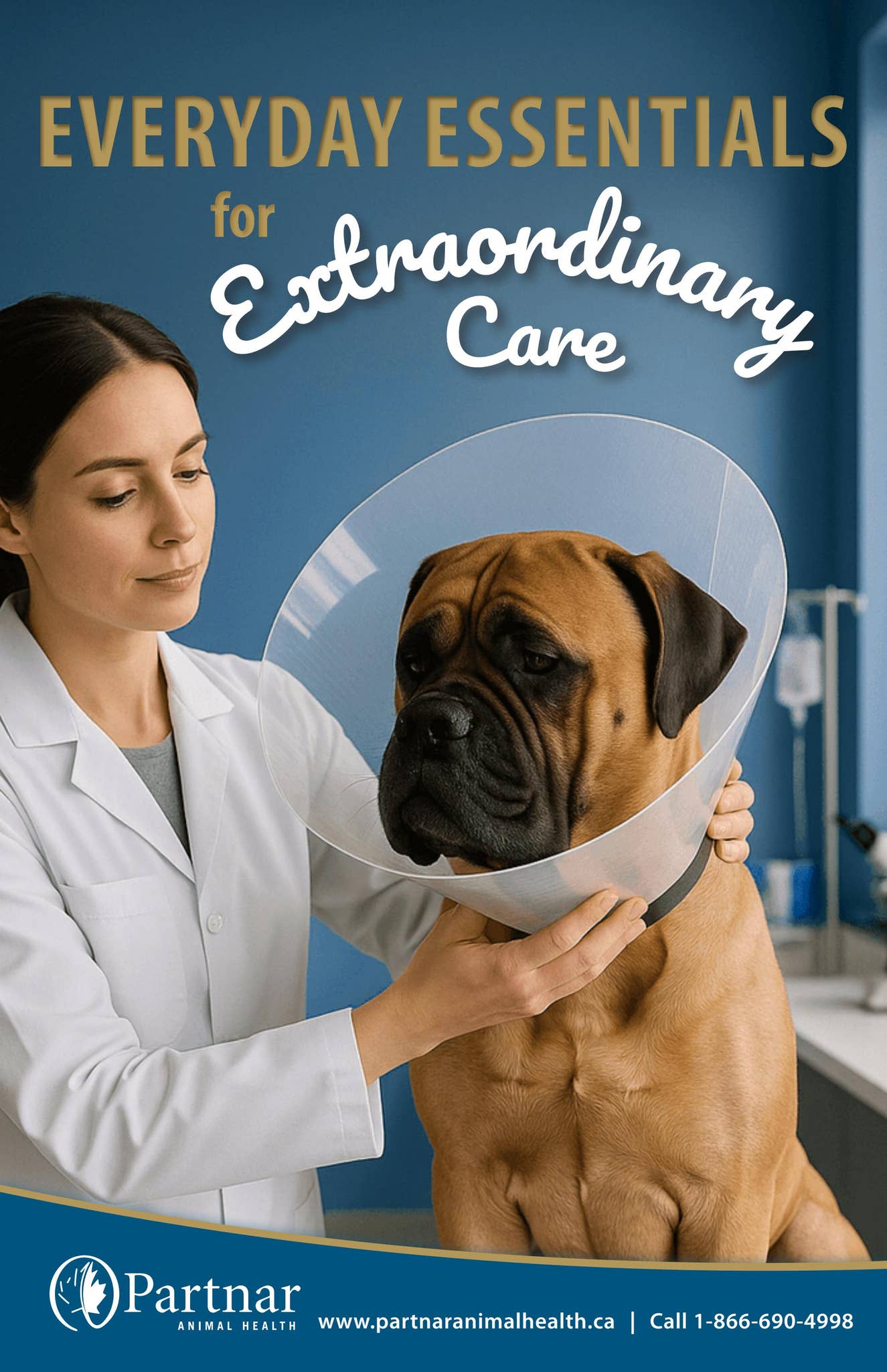 Partnar 627 01_2026_Layout 518 Product catalogue by Partnar Animal Health - Issuu