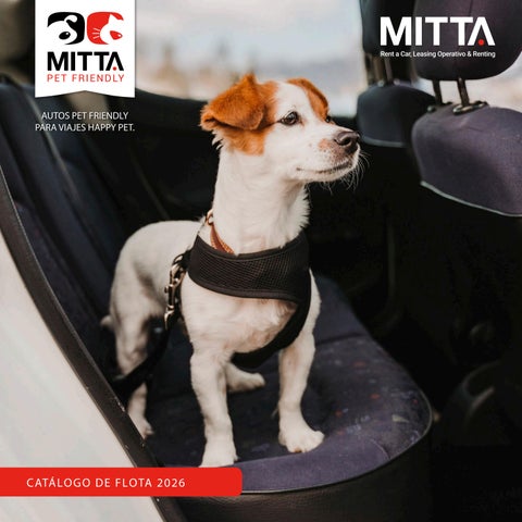 Catalogo de Flota MITTA 2026