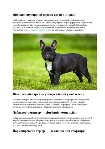 Які найпопулярніші породи собак в Україні