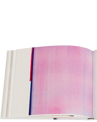 ACC Art Books 灯饰目录 · Callum Innes – a pure land 第 10 页