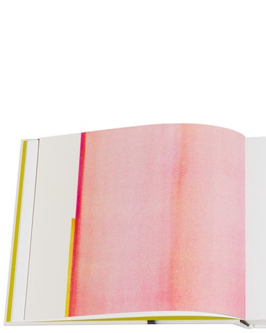 ACC Art Books 灯饰目录 · Callum Innes – a pure land 第 2 页