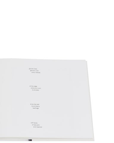 ACC Art Books 灯饰目录 · Callum Innes – a pure land 第 3 页
