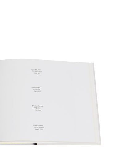 ACC Art Books 灯饰目录 · Callum Innes – a pure land 第 9 页