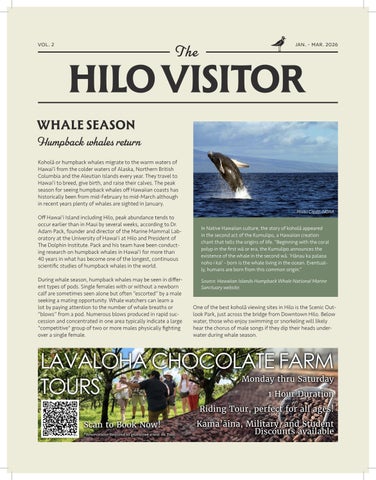 TheHiloVisitor-VOL2-FINAL