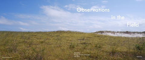 Joyce Gu Workshop Field Book