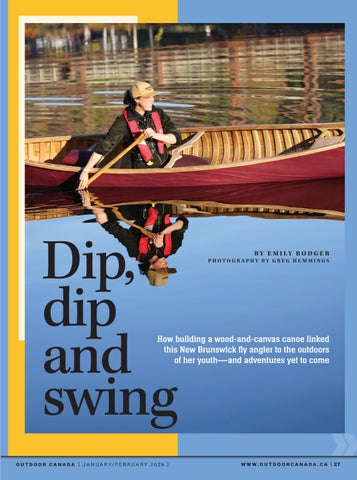 Dip, dip and swing