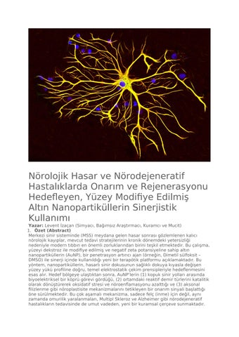 LEVENT İZAÇAN-PATENT-Nörolojik Hasar ve Nörodejeneratif Hastalıklarda Onarım ve Rejenerasyon