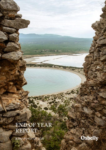 Oxbelly 2025 End of Year Report