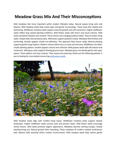 Meadow Grass Mix And Their Misconceptions