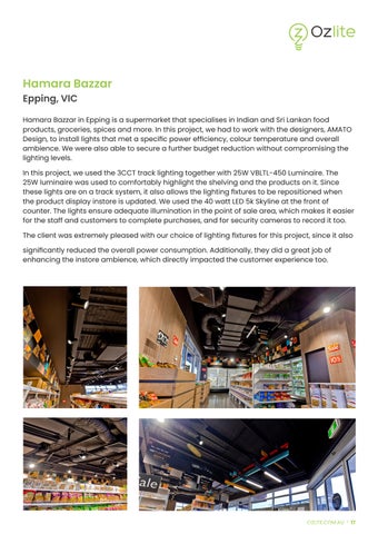 OZLITE CapabilityStatement Jan26 第 17 页