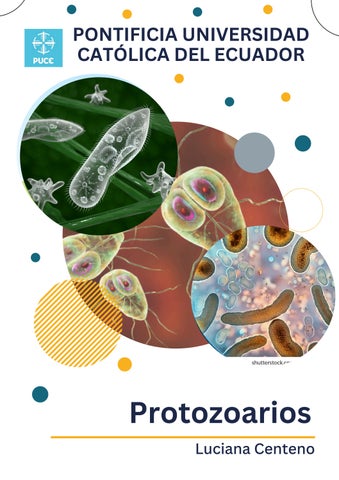 Colorful Illustrated Science Information Poster