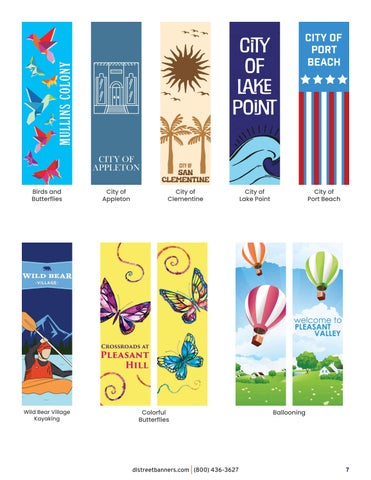 Dekra-Lite Street Banners Banner 灯饰目录 第 9 页