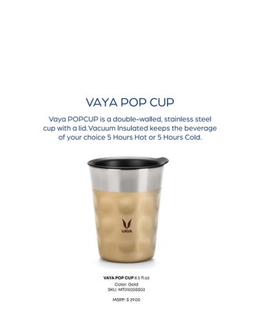 VAYA 2026 第 16 页