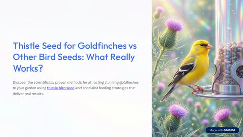 Thistle-Seed-for-Goldfinches-vs-Other-Bird-Seeds-What-Really-Works