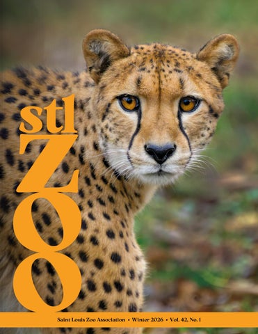 Winter 2026 stlzoo magazine