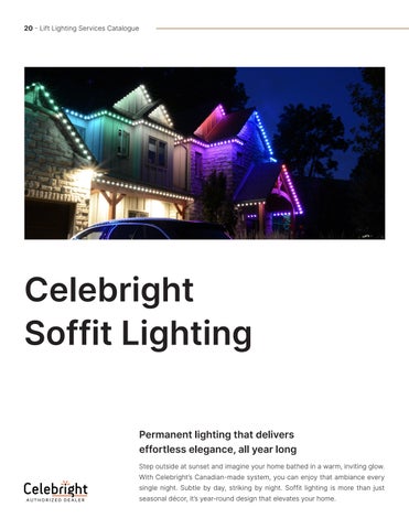 liftlightinglondon 2026 Lift 灯饰 Service 目录 第 20 页