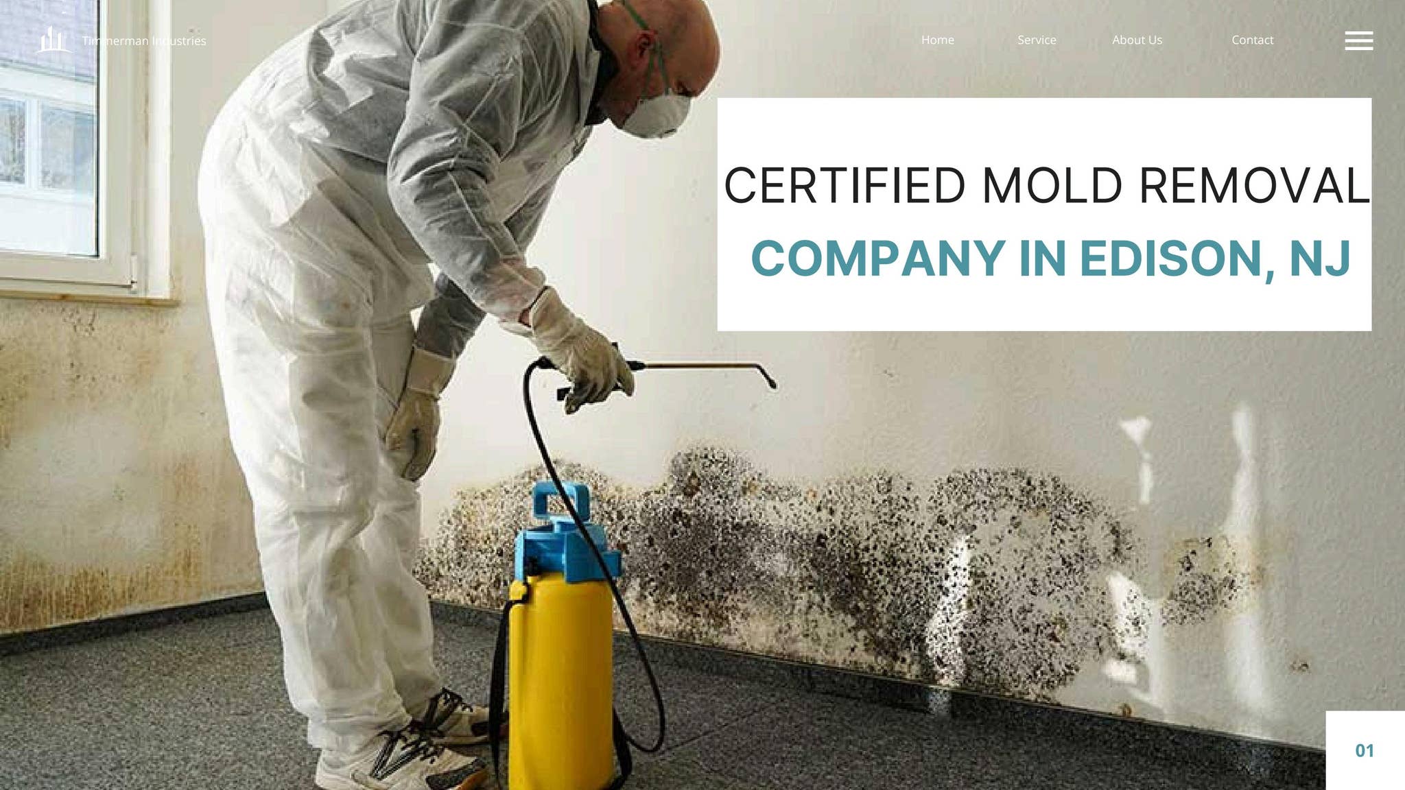 Certified Mold Removal Company in Edison, NJ | Trusted Mold Specialists ...