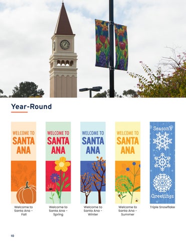 2026 Pole Banner 灯饰目录 Unbranded 第 12 页