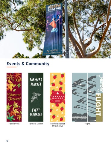 2026 Pole Banner 灯饰目录 Unbranded 第 14 页