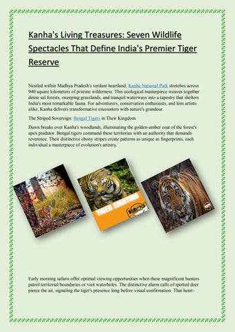 Jim Corbett Through the Lens: Best Seasons for Wildlife Photography