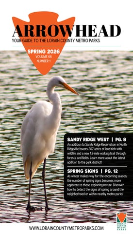 Arrowhead - Spring 2026