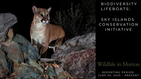 Wildlife in Motion  Impact REPORT 2025