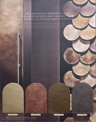 Metai Aging Process Sample Books 第 4 页