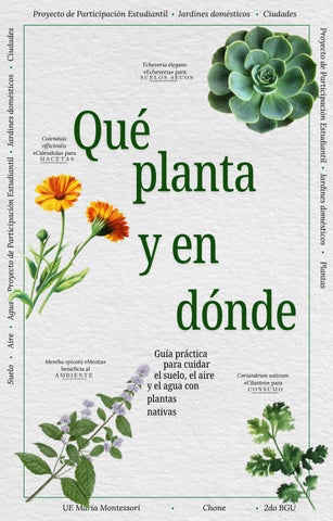Qué planta y en dóndePPE