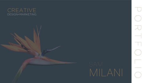 Portfolio, Milani 2026N