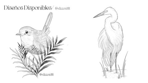 Diseños disponibles