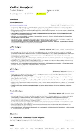 Vladimir Georgijevic Resume