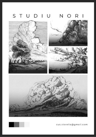 STUDIU DE NORI - PORTOFOLIU final