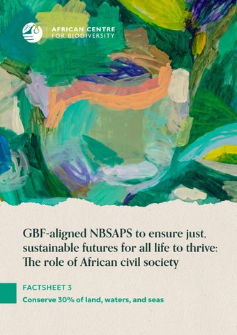 GBF-aligned NBSAPs fact sheet 3: Conserve 30% of land, waters, and seas