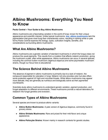Albino Mushrooms_ Everything You Need to Know