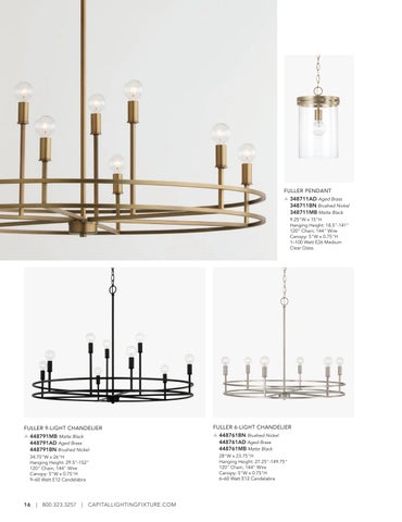 capitallighting Homeplace 灯饰目录 2026 第 16 页
