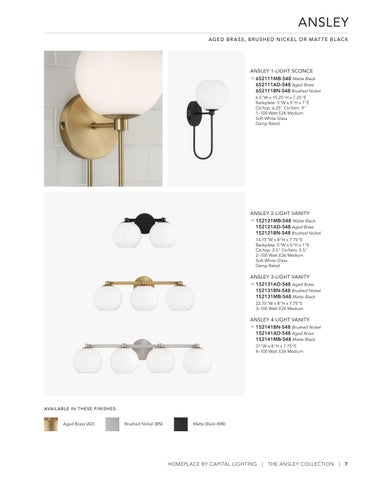 capitallighting Homeplace 灯饰目录 2026 第 7 页