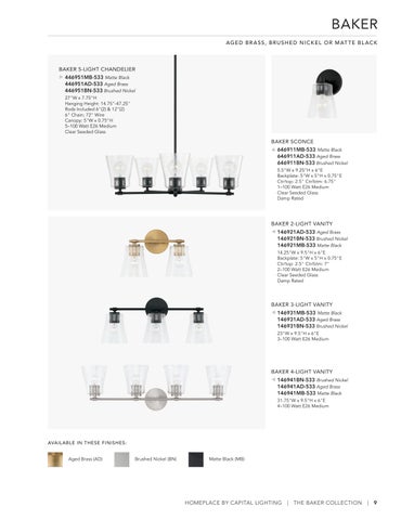 capitallighting Homeplace 灯饰目录 2026 第 9 页