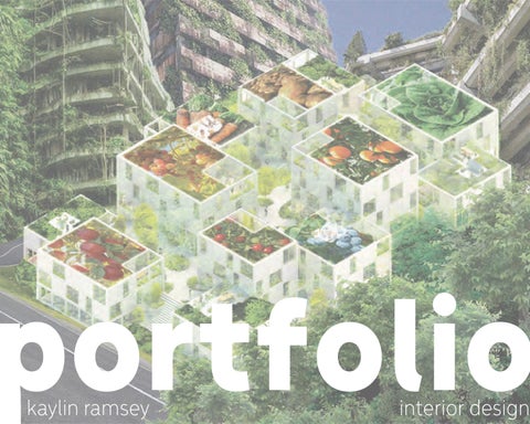 Kaylin Ramsey's Portfolio