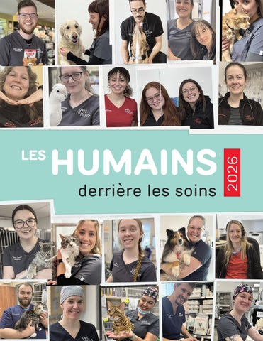 Les humains derrière les soins - Vet et Nous