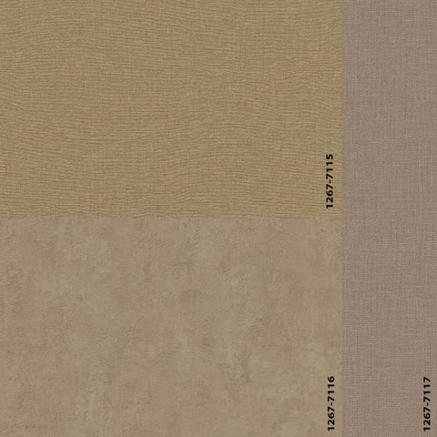 Colours And Textures 第 13 页