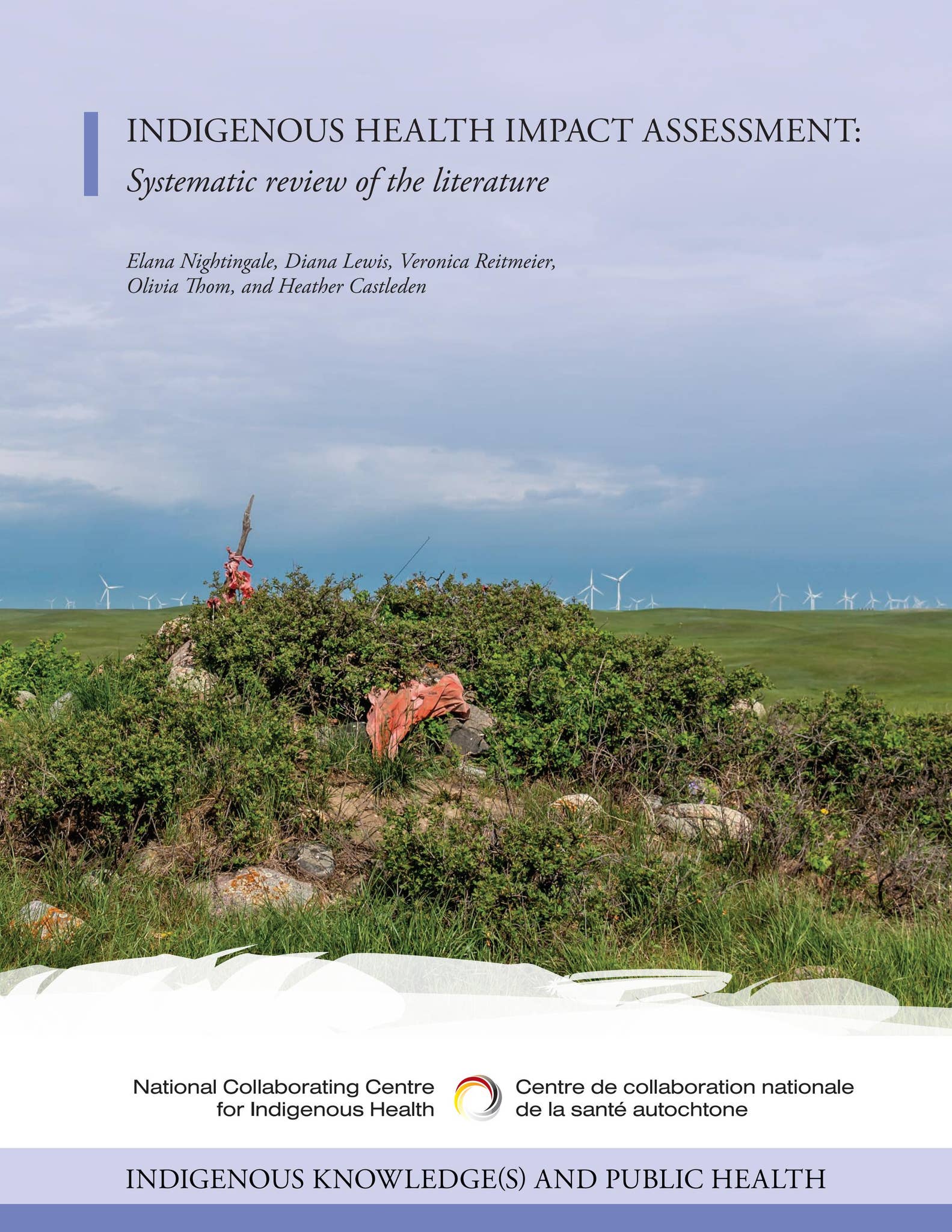 Indigenous health impact assessment: Systematic review of the ...