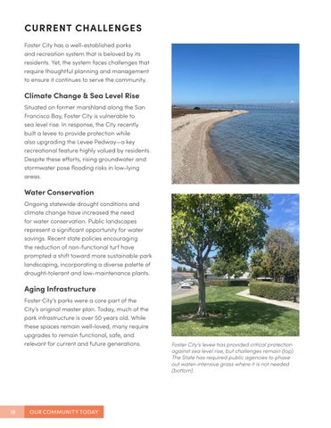 Foster City Parks Master Plan 第 18 页