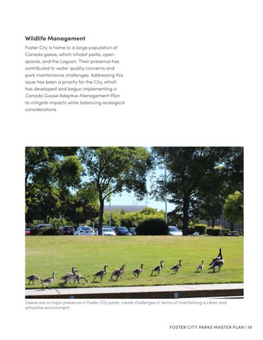 Foster City Parks Master Plan 第 19 页